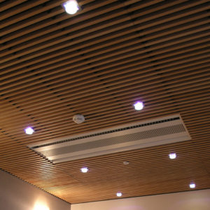 Plafond Lauder linea 2.9.10 – Laudescher