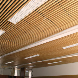 Plafond Lauder linea 2.4.5 – Laudescher