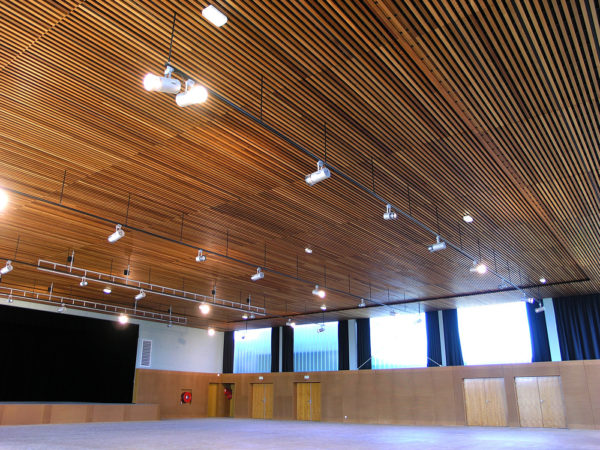 Plafond Lauder linea 2.4.6 - Laudescher
