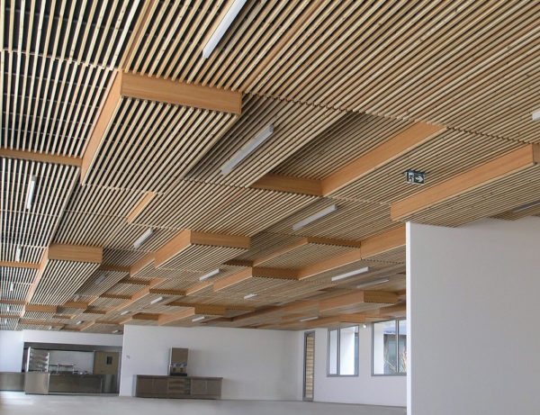 Plafond Lauder linea 2.4.3 - Laudescher
