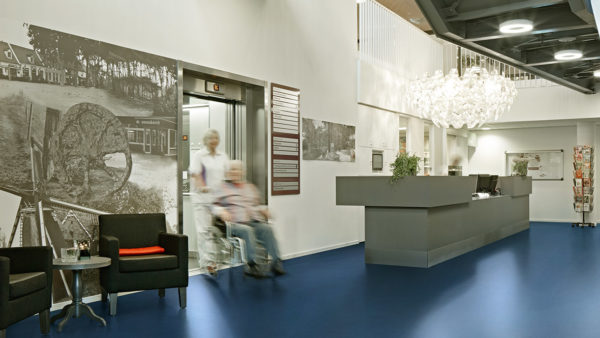 Eternal 33 - Forbo – Image 2