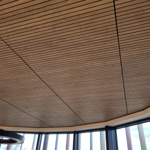 Lines 15’ METROLINES – Panneaux bois acoustique